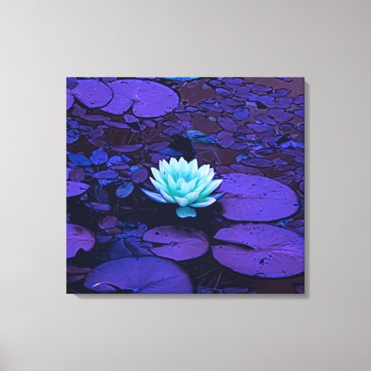 Lotus Blume Turquoise Lila Pond Zen Leinwanddruck (Vorderseite)