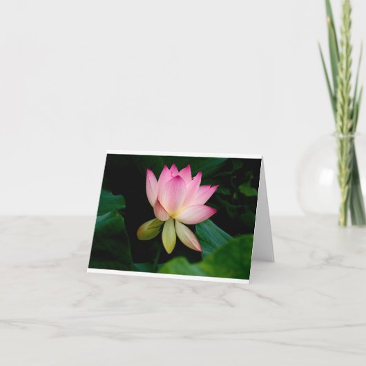 Lotus-Blume - unbedruckte Karte (Vorderseite)