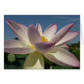Lotus Blume und Blue Sky I (Vorderseite (Horizontal))