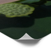 Lotus Blume und Blue Sky I Poster (Ecke)