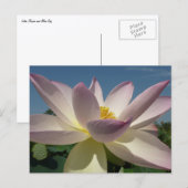 Lotus Blume und Blue Sky I Postkarte (Vorne/Hinten)
