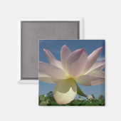 Lotus Blume und Blue Sky II Magnet (Vorderseite/Rückseite)