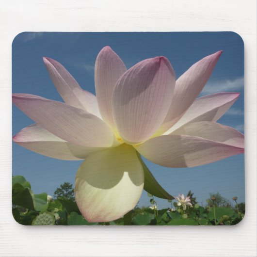 Lotus Blume und Blue Sky II Mousepad (Vorne)