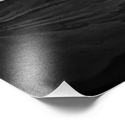 Lotus Blume und Lily Pad Schwarz/Weiß Fotodruck (Ecke)