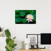 Lotus Blume und Lily Pads Poster (Heimbüro)