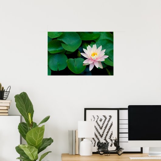 Lotus Blume und Lily Pads Poster (Heimbüro)