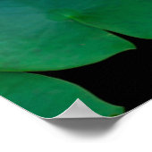 Lotus Blume und Lily Pads Poster (Ecke)