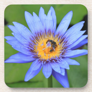 Lotus Blume Untersetzer