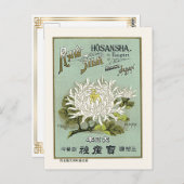 Lotus Blume Vintag Japan Seidenwerbung Postkarte (Vorne/Hinten)