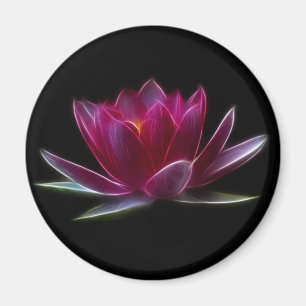 Lotus Blume Wasser Pflanze Magnet