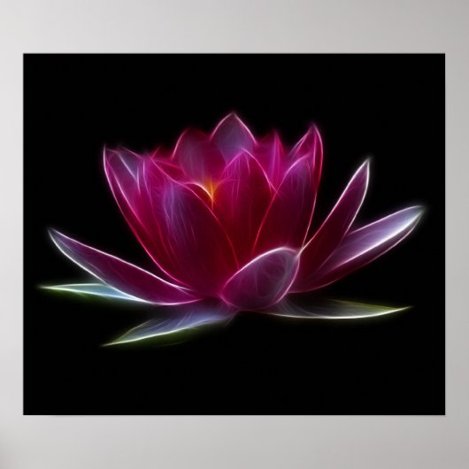 Lotus Blume Wasser Pflanze Poster (Vorne)