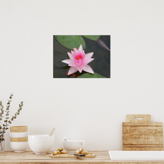 Lotus Blume/Wasserlilie Poster (Küche)