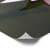 Lotus Blume/Wasserlilie Poster (Ecke)