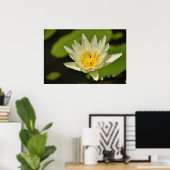 Lotus-Blume (Wasserlilie) Poster (Heimbüro)