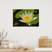 Lotus-Blume (Wasserlilie) Poster (Küche)