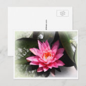 Lotus Blume, Wasserreflektion / Natur Asien Postkarte (Vorne/Hinten)