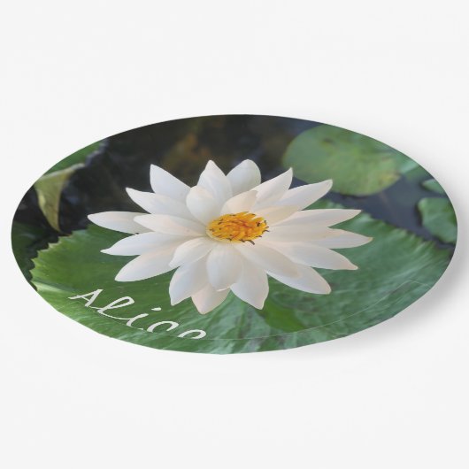 Lotus Blume Weiße Farbe im Teich mit Namen Pappteller (Schrägansicht)