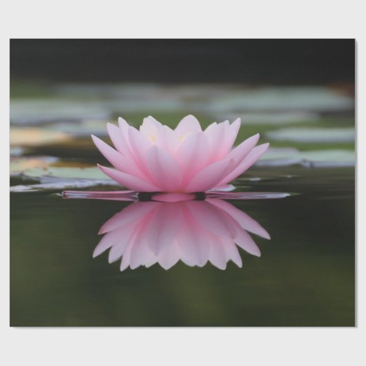 Lotus Blume, Zen Geschenkpapier (Flach)