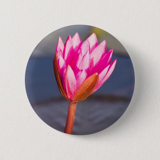 Lotus-Blüte Button (Vorderseite)