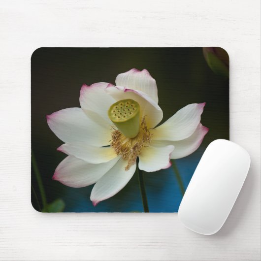 Lotus-Blüte Mousepad (Mit Mouse)