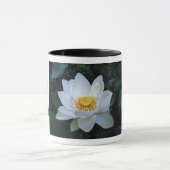 Lotus-Blüte Tasse (Zentrum)