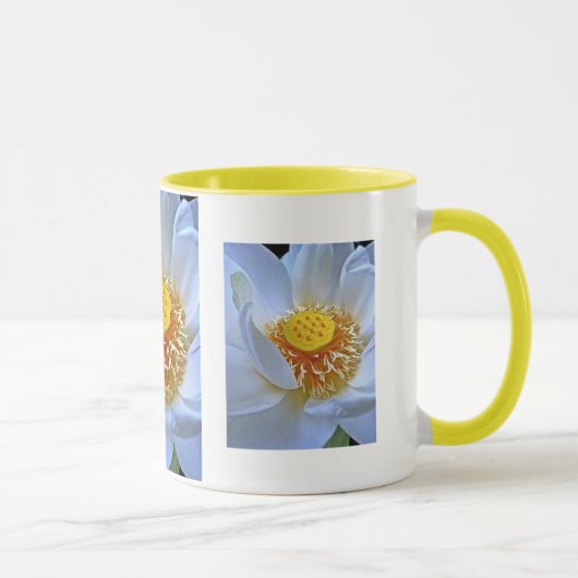 Lotus-Blüte Tasse (Rechts)