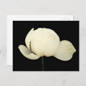 Lotus Bud Einladungspostkarte (Vorne/Hinten)