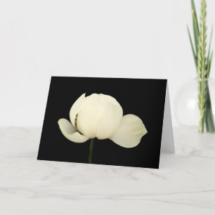 Lotus Bud Karte