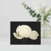 Lotus Bud Postkarte (Stehend Vorderseite)