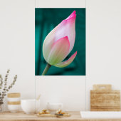 Lotus Bud Tranquility Poster (Küche)