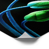 Lotus Buds Poster (Ecke)