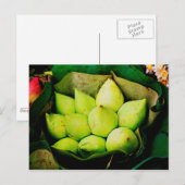 Lotus buds postkarte (Vorne/Hinten)
