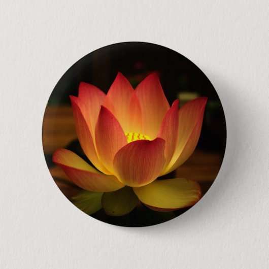 Lotus Button (Vorderseite)