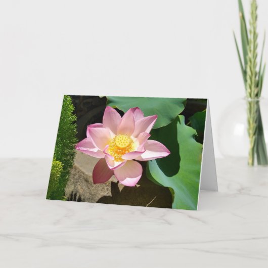 Lotus Card Dankeskarte (Vorderseite)