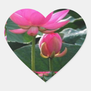 LOTUS: Chakra Rose Rosa Grüner Garten Herz-Aufkleber