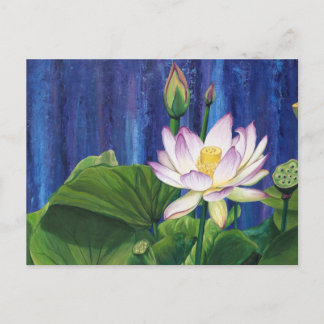 Lotus Dream Postkarte
