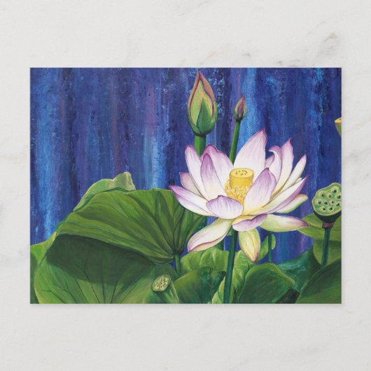 Lotus Dream Postkarte (Vorderseite)