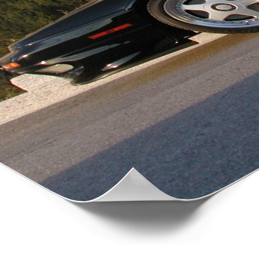 Lotus Esprit V8 Poster (Ecke)