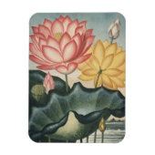 Lotus Fine Art Magnet (Vertikal)