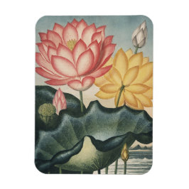 Lotus Fine Art Magnet