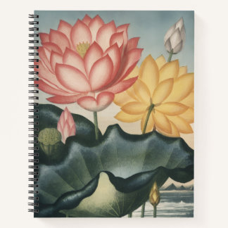LOTUS FINE ART NOTIZBLOCK