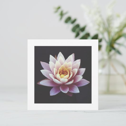 LOTUS FLAT CARD (Stehend Vorderseite)