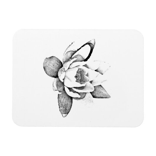 LOTUS FLEXIBLES FOTO MAGNET (Horizontal)