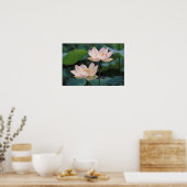 Lotus flower in blossom, China Poster (Küche)