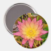 Lotus Flower of Life Magnet (Vorderseite/Rückseite)