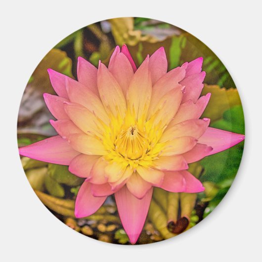 Lotus Flower of Life Magnet (Vorne)