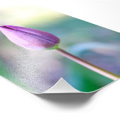 Lotus Fotodruck (Ecke)