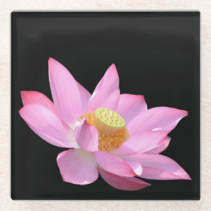 Lotus Glasuntersetzer