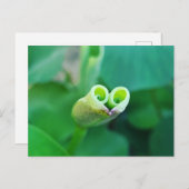 Lotus Heart ポストカード Postkarte (Vorne/Hinten)