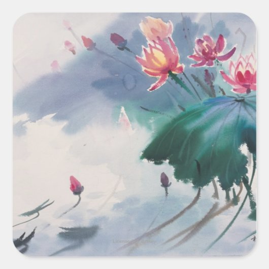 Lotus im Teich Quadratischer Aufkleber (Vorderseite)